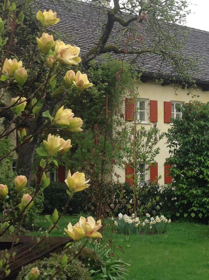 Haus Probst Am See Bed & Breakfast Schondorf am Ammersee Luaran gambar